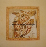 Reprodukce Žirafy 30x30 cm