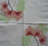 Orchidej zelenobílá