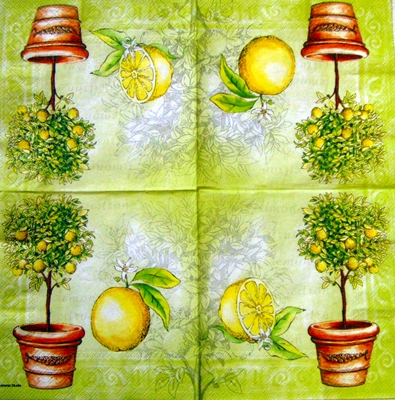 Citronový stromek
